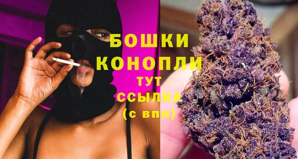 шишки Вязники